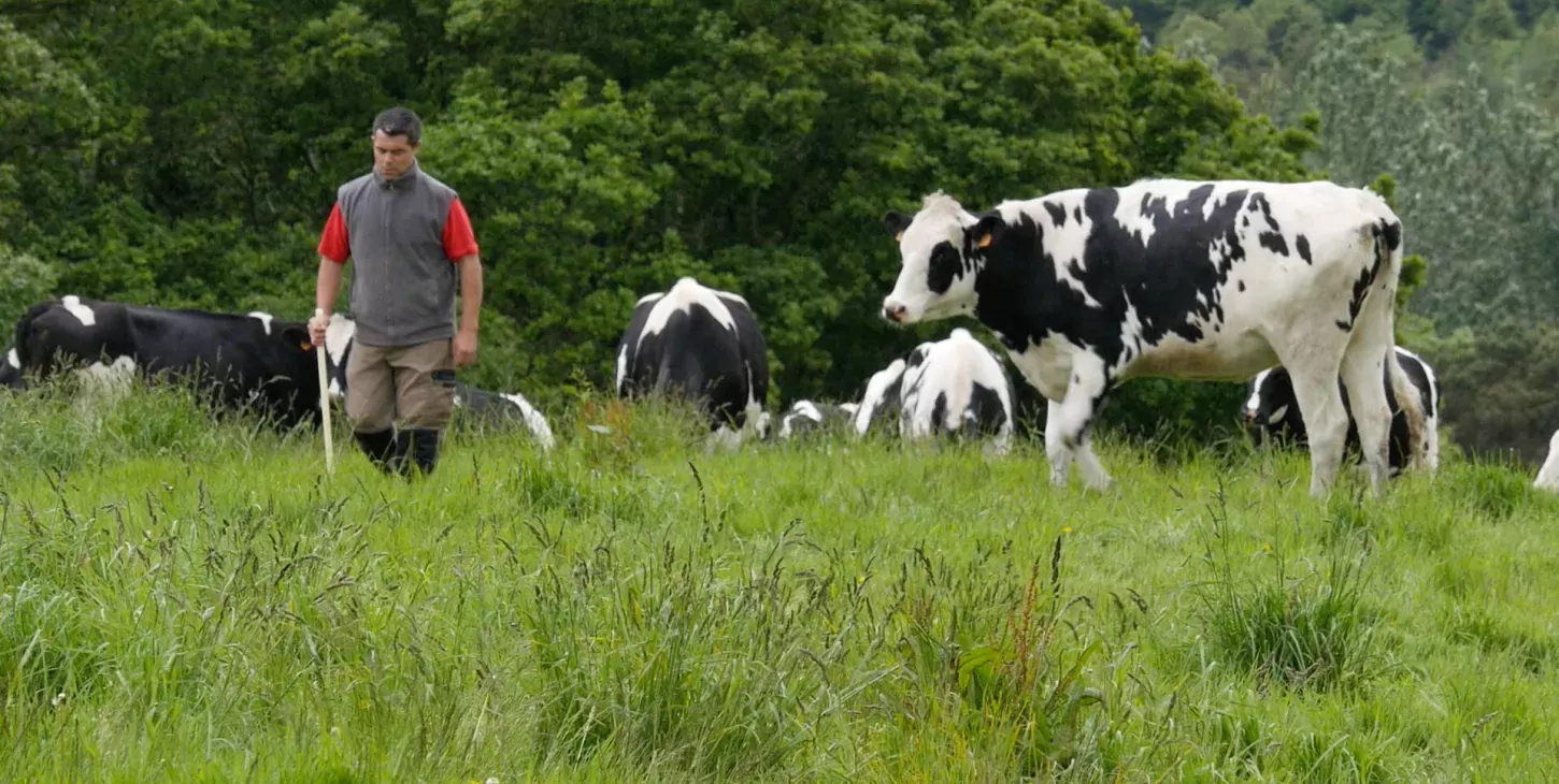Eric talks about heifers, tomorrow's dairy cows